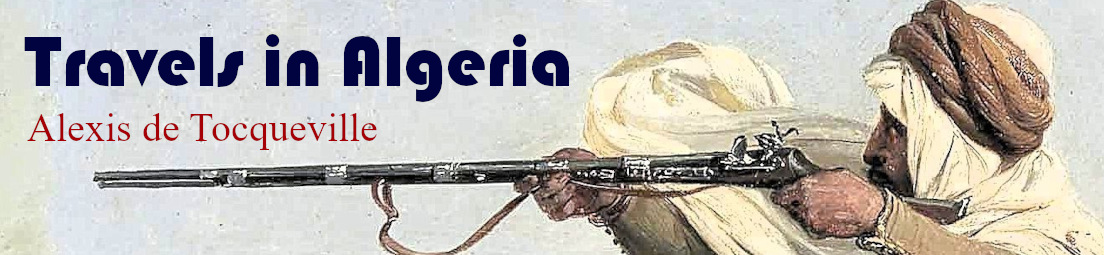 travels-in-algeria-banner